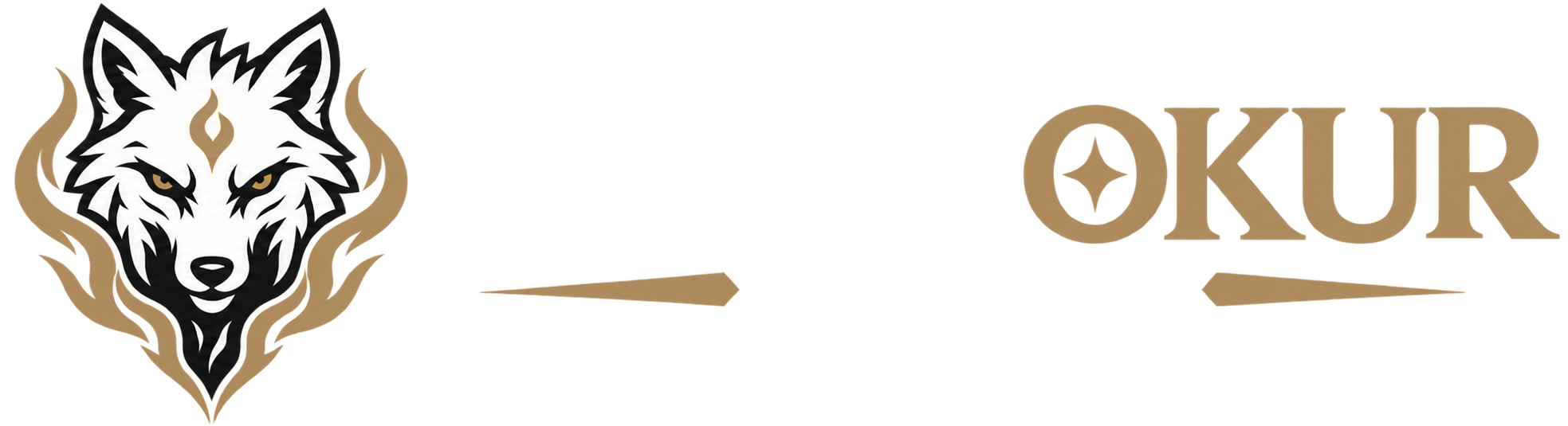 Novel Oku, Türkçe Novel Oku